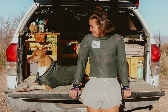 Doggie Jumper